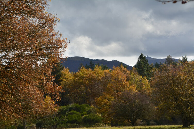 2018 11 09 le puy de dôme (8)