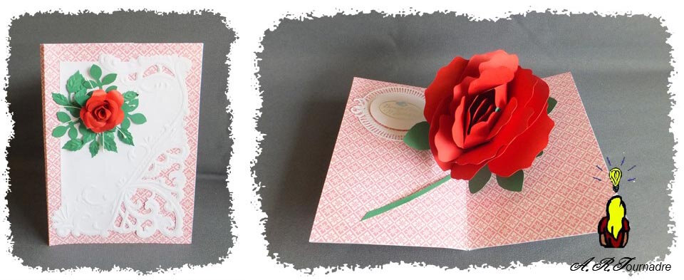 ART 2020 05 rose excentree 0