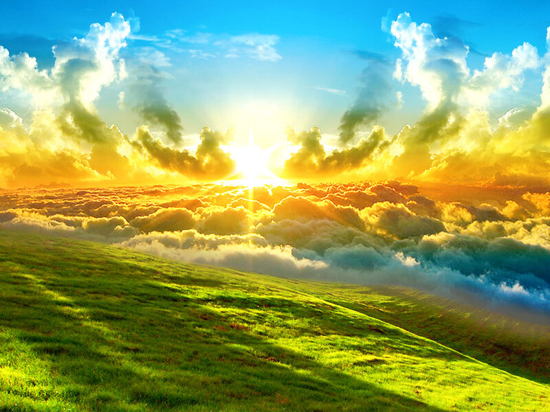 paradise