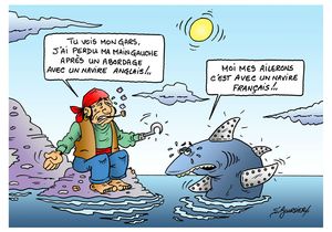 pirate requin coul