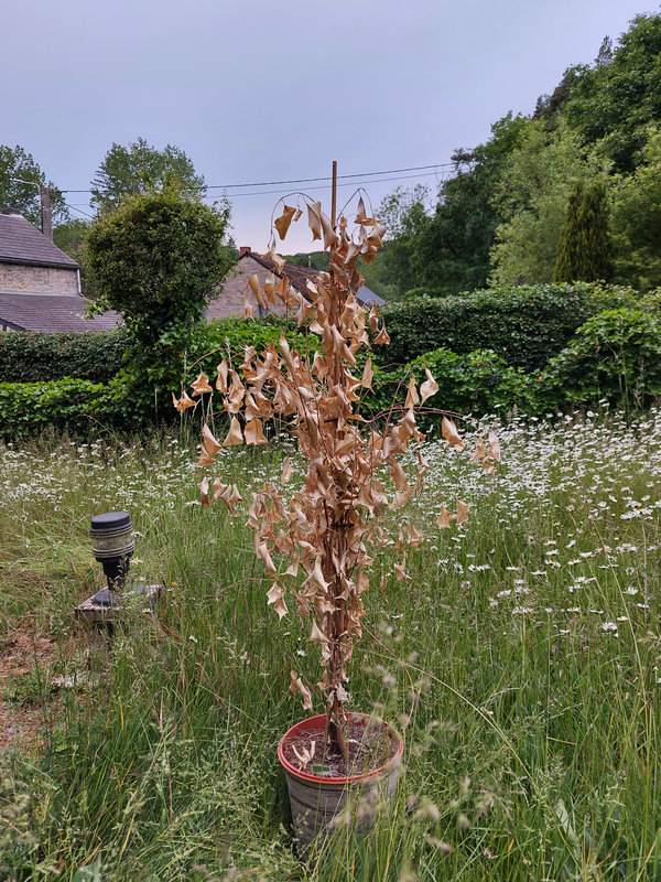 h20220603_203632 (2)