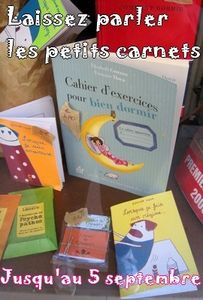 petits_carnets_banni_re_concours