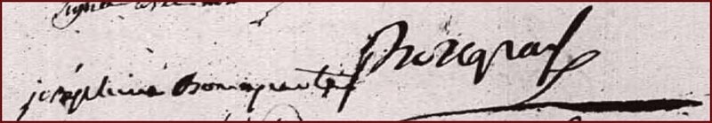 Naissance Napoléon Joséphine