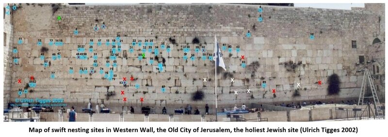 Wailing Wall