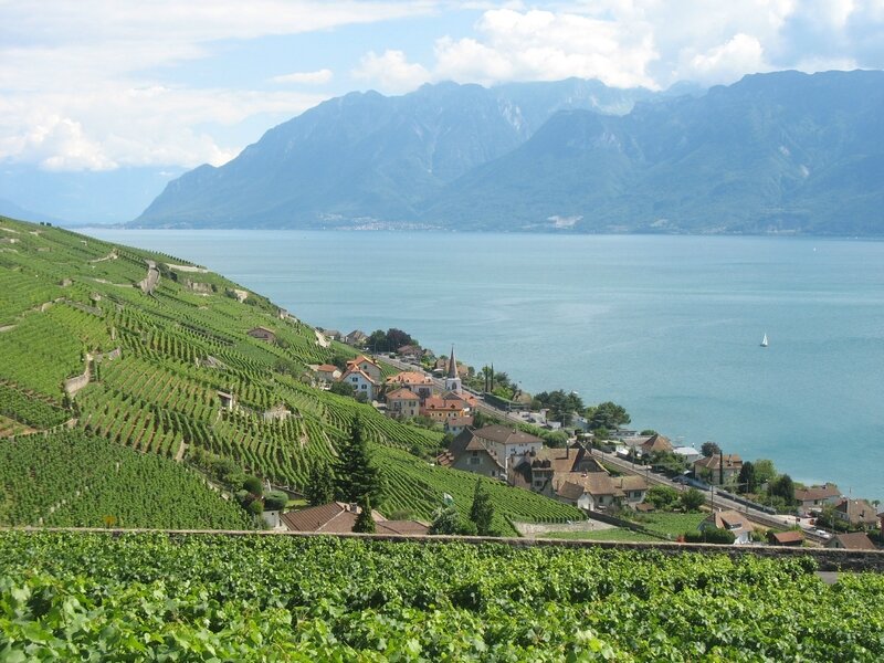 Jongny, vignes et village (Suisse)