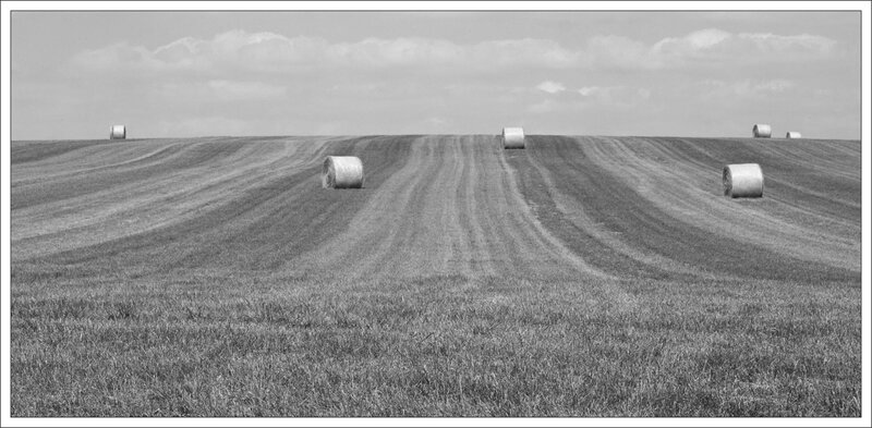 plaine paysage balles lignes nb 050914