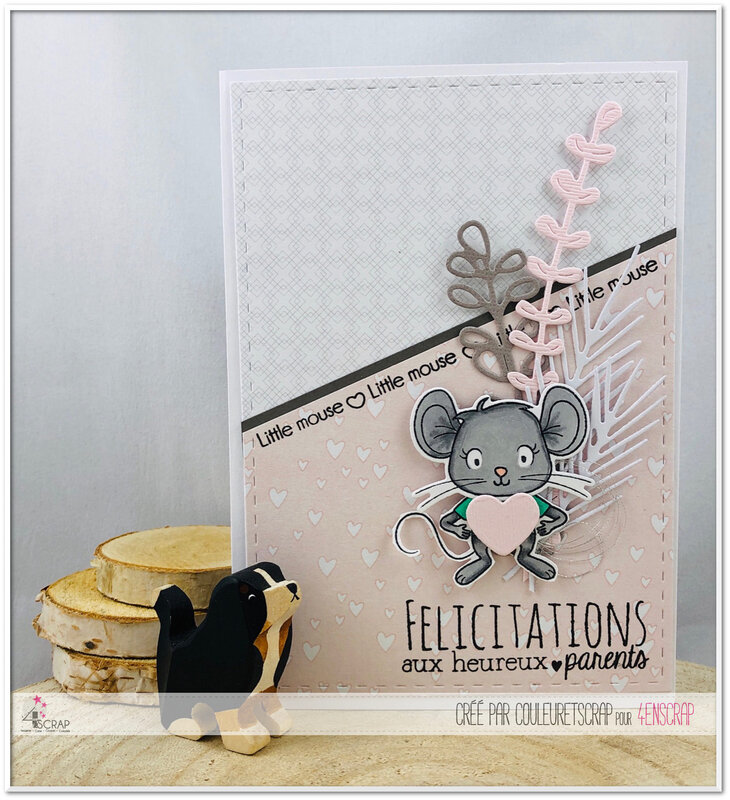 Couleuretscrap_pour_4enscrap_J1_carte_naissance