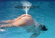 sauvezwilly