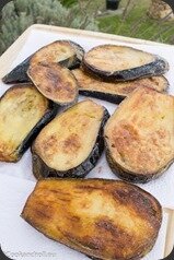 Parmigiana-22