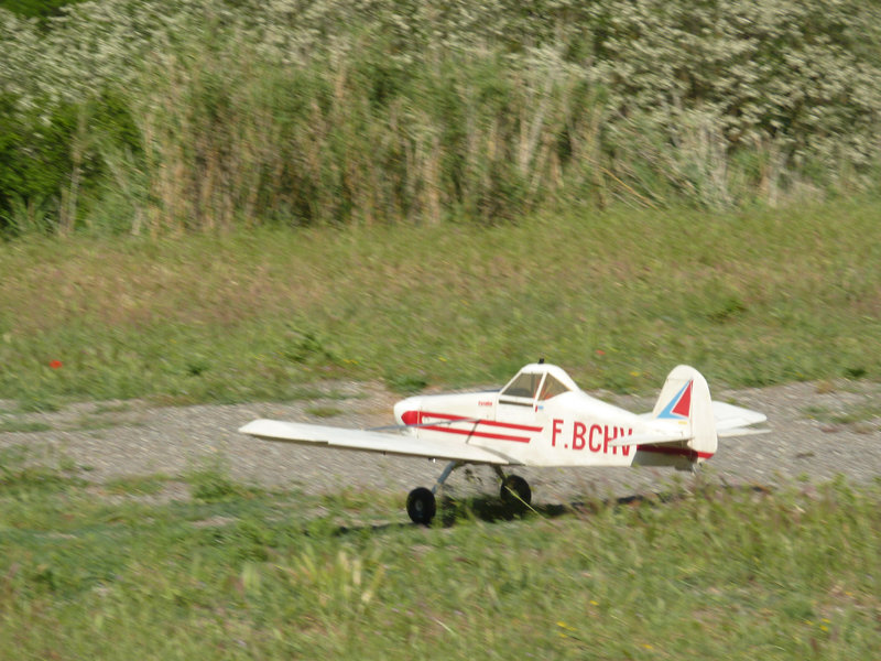 P1100954