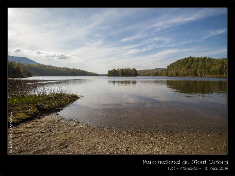 IMG_2615-naturelimages.com
