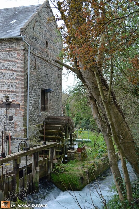 4614-Sentier-des-Moulins