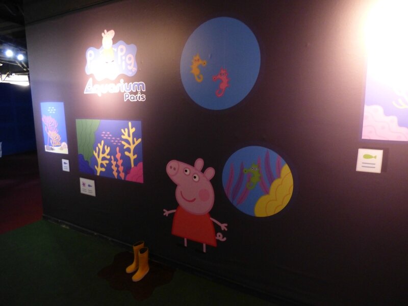 13 Aquarium Peppa Pig (31)