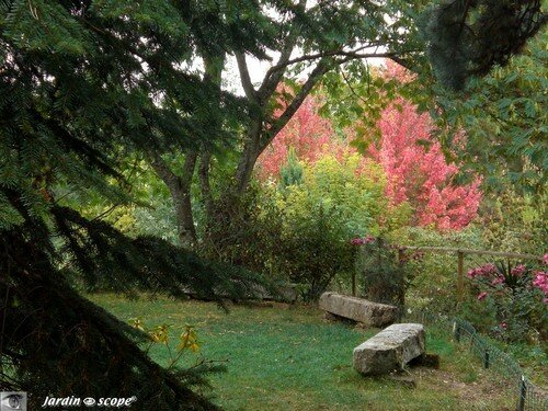 Bancs au Jardin du Prieuré d'Orchaise (41)
