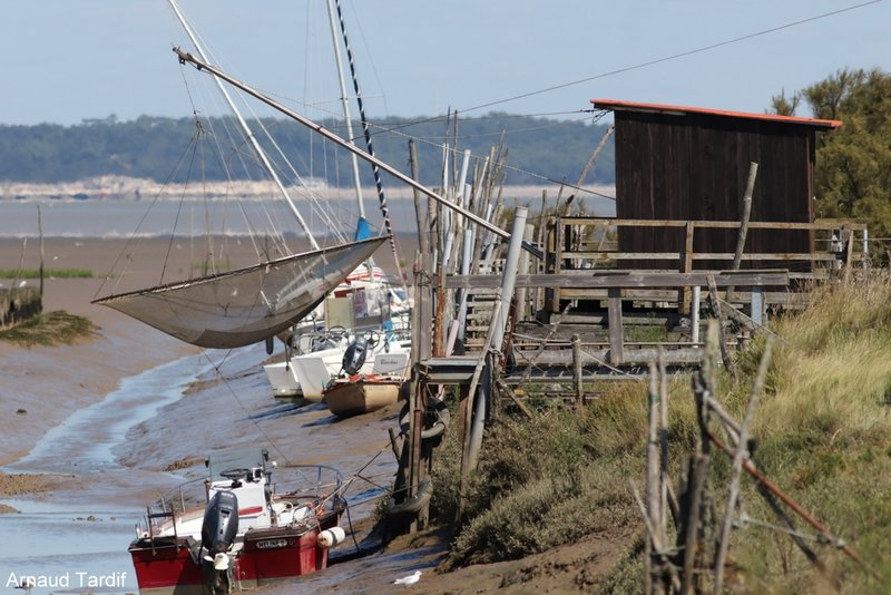 00269 Estuaire de la Gironde - Côté Médoc - Rando du Port de Talais jusqu'à l'Estuaire - Les Mattes - Petit Port à côté du Marais du Baluard