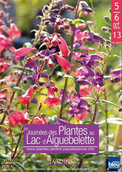 Lac_Aiguebelette