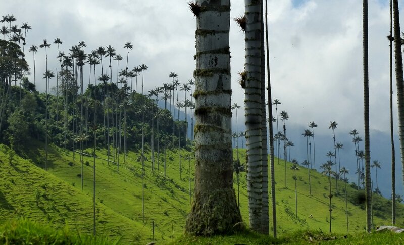 paysage_vallee_cocora_4
