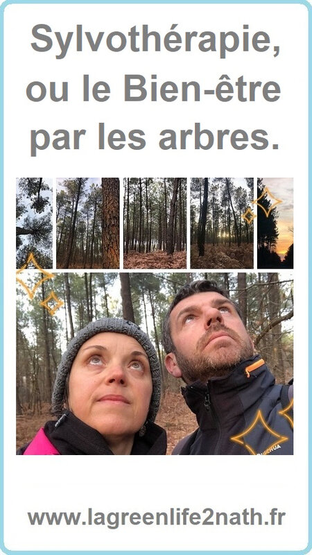 Sylvothérapie ou le bien-être par les arbres