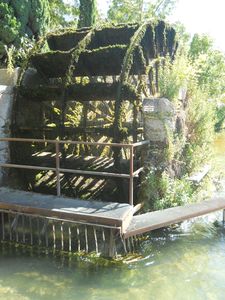 DSCN3623
