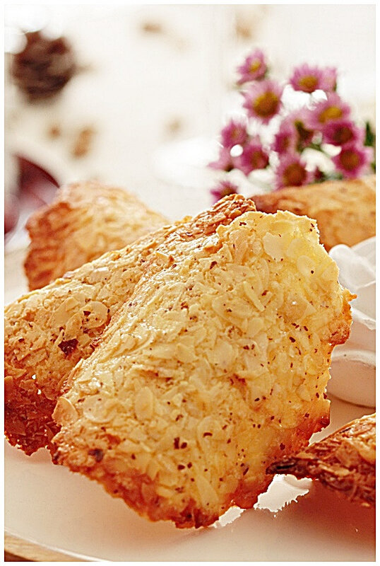 tuile-amande-petitfour-biscuit-recette-nicolepassions