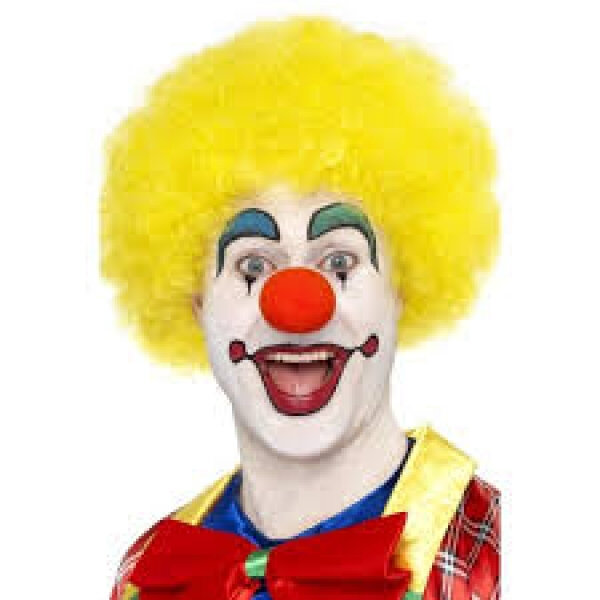anniversaire-dj-clown-mascottes-IMGH1440502708_telechargement_23