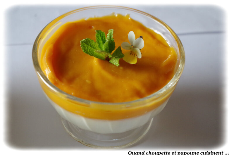 panna cotta vanille, crème d'abricot-9367