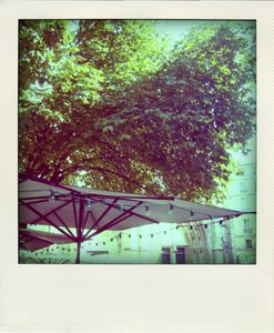 P1090505_pola