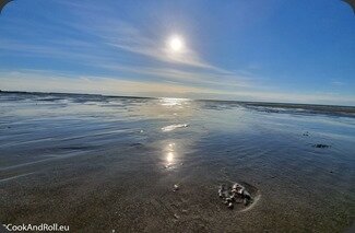 Wimereux-Atlantic-Liegeoise-Aloze-60