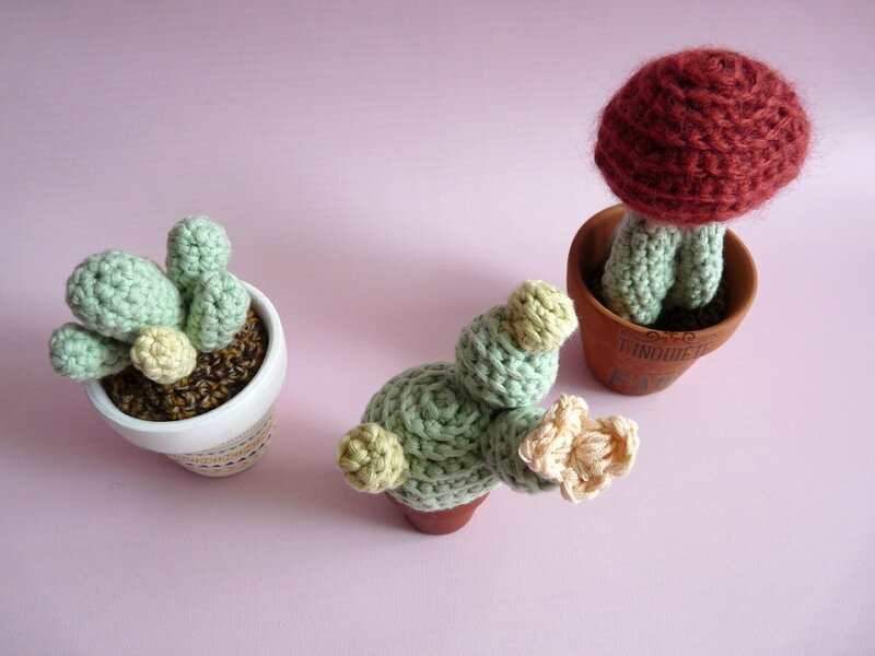 cactus crochet 02