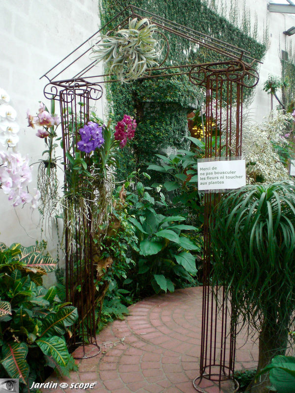 Poussez la porte de l'expo d'Orchidées 2009