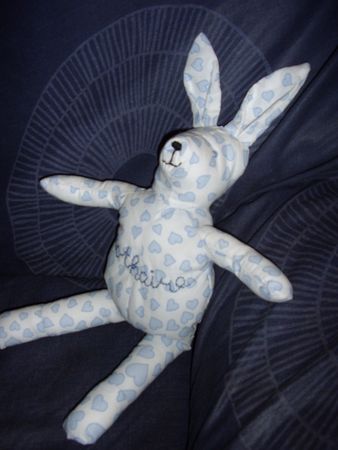 Lapin_bleu_2