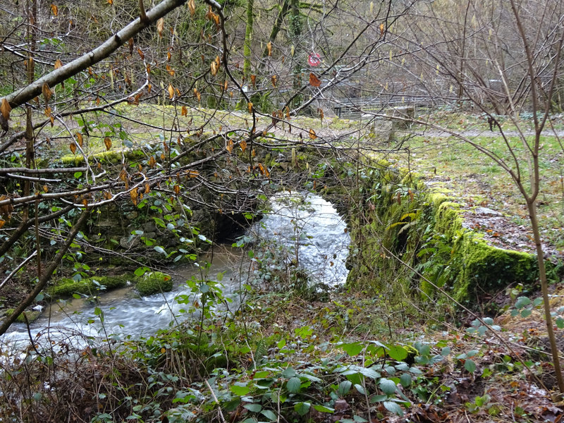 Circuit Follaton Bidons (25)