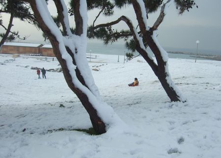 plage_du_prado_luge