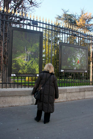 Expo_photo_Jardin_Luxembourg_7484