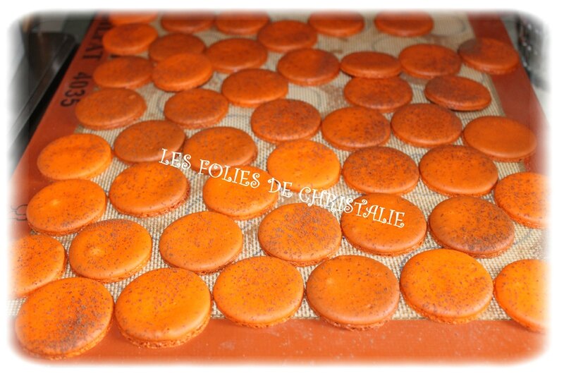 Macarons mogador 16