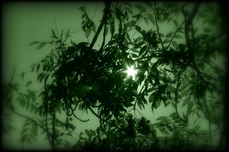 ors verts