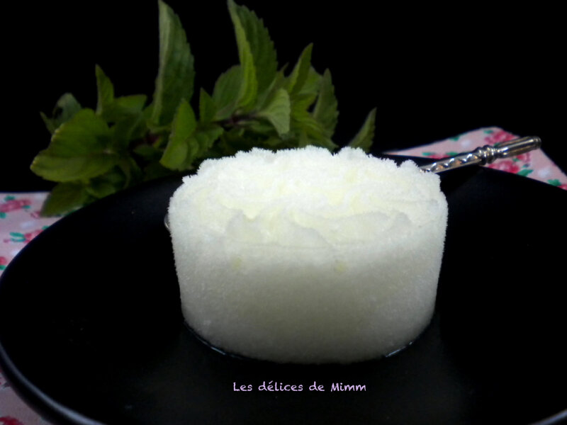 Sorbet mojito 5