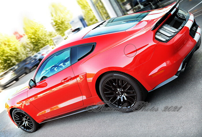 Mustang2015_©TasunkaPhotos_ (6)