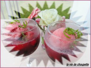 soupe pétillante aux fruits 8