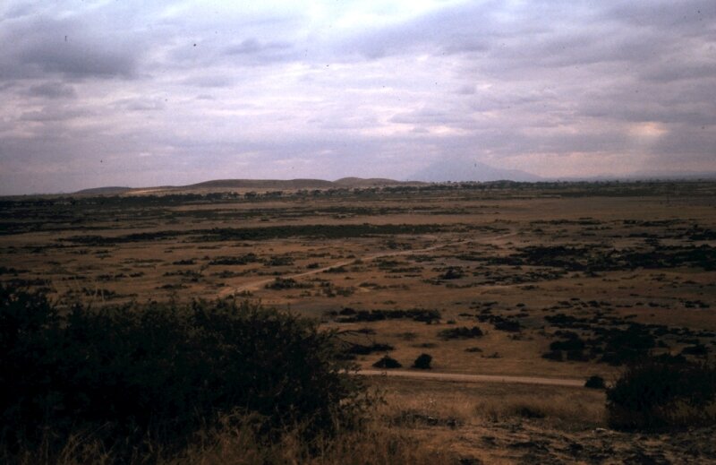 amboseli paysage o