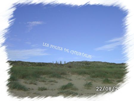 Plage Barbâtre 2012 027