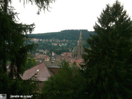 6725_Vue_de_Thann