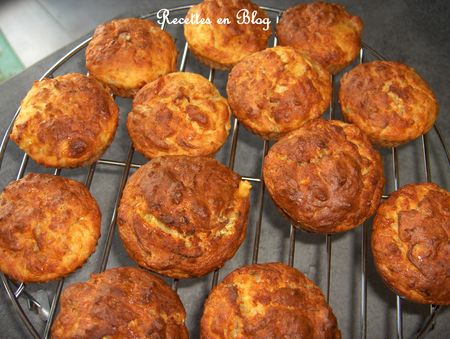 muffins_courgettes_thon_cantal1