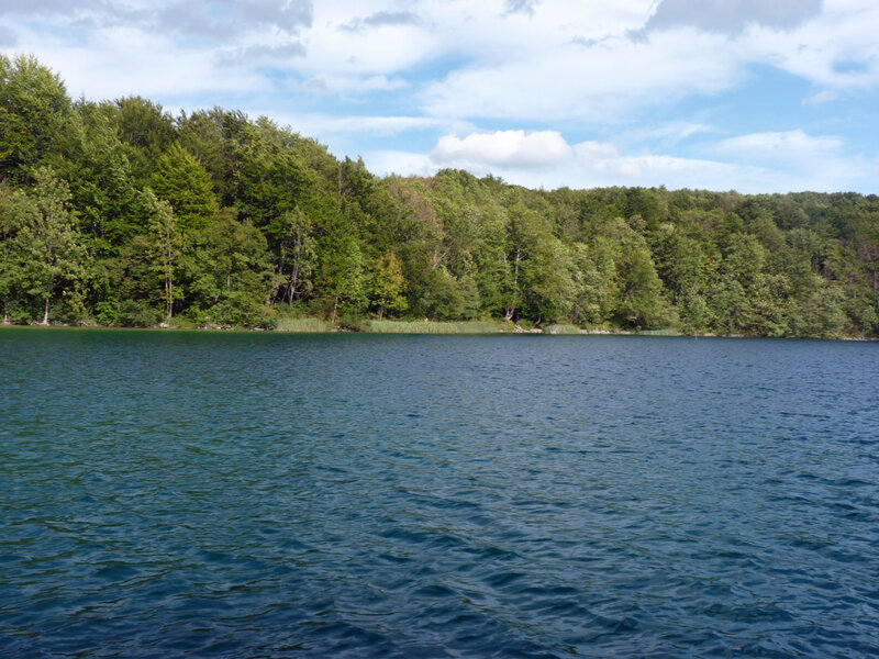 P1040723 - Copie