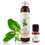 catalogue_hv_calophylle_bio