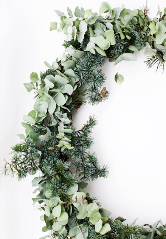 couronne_meleze_eucalyptus
