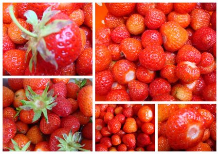 FRAISES