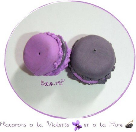 Macarons___la_violette_et___la_m_re