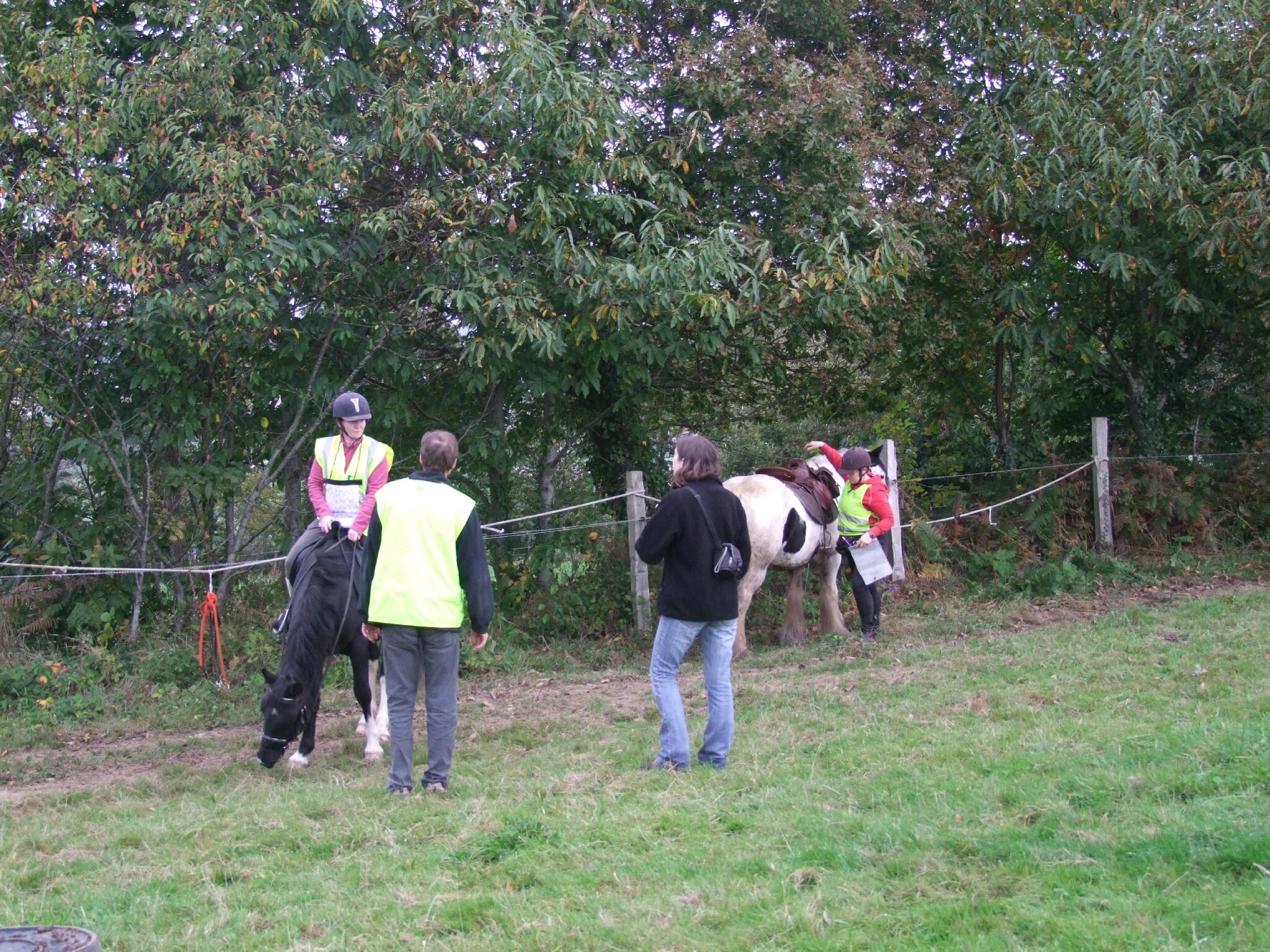 DSCF2010