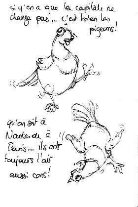 pigeons_parisiens